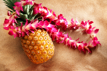 hawaii feestje